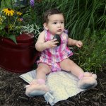 dreamstimefree_195008