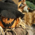 dreamstimefree_267705